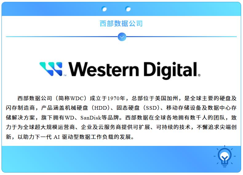 99久久久无码国产精品性