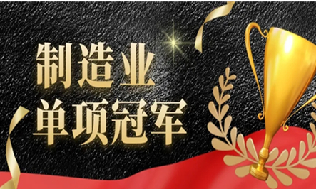 99久久久无码国产精品性