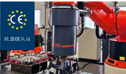 99久久久无码国产精品性