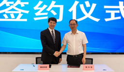 99久久久无码国产精品性